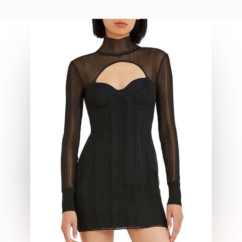 Herve Leger dress